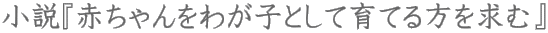 小説『赤ちゃんをわが子として育てる方を求む』